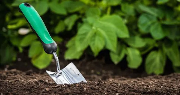 Topsoil vs Compost - What is the best for your garden?