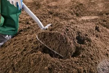 Creating the perfect herbaceous border with topsoil