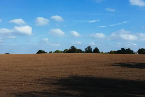 What Is the Difference between Topsoil and Compost?
