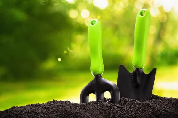 Prevent the Loss of Topsoil in your Garden
