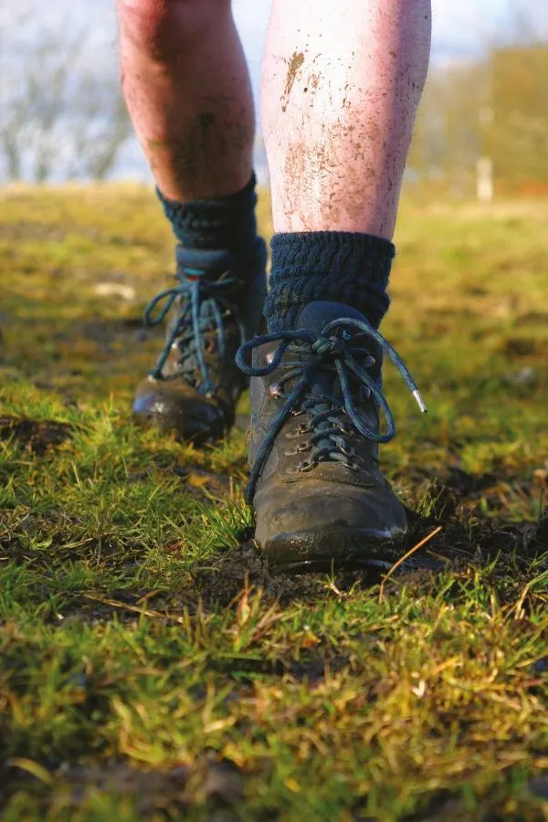 The Difference Between Topsoil and Subsoil