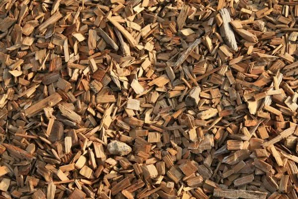 What Are the Benefits of Using Bark in the Garden?