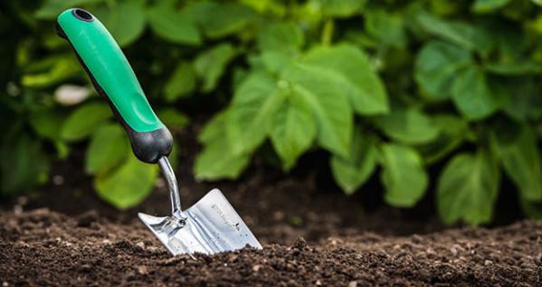 Topsoil vs Compost - What is the best for your garden?