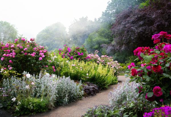 How to build a rockery