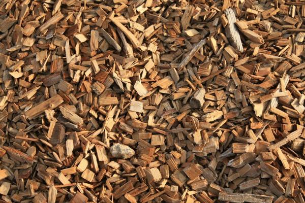 What Are the Benefits of Using Bark in the Garden?
