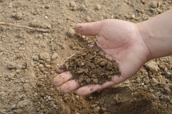 How to Make a Soil Sieve