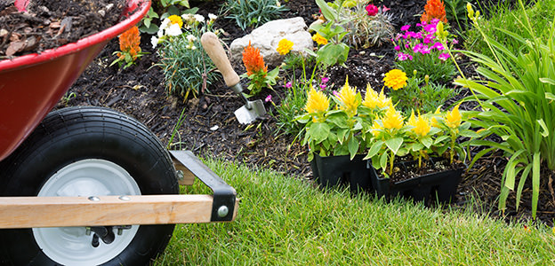 Wheelbarrow alongside a newly planted flowerbed