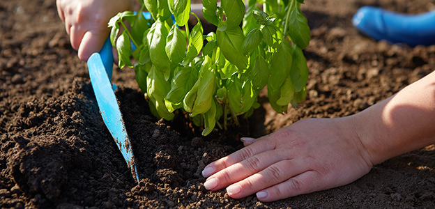 Woman with garden shovel