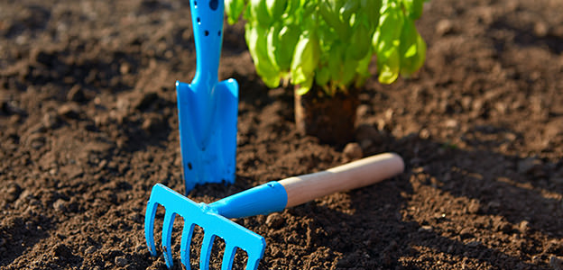 Blue garden tools
