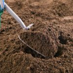 Creating the perfect herbaceous border with topsoil