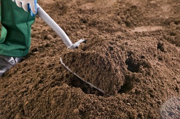 Creating The Perfect Herbaceous Border With Topsoil | The London ...