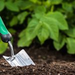 Topsoil vs Compost - What is the best for your garden?