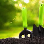 Prevent the Loss of Topsoil in your Garden