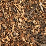 What Are the Benefits of Using Bark in the Garden?