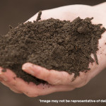 Easy no-dig gardening with topsoil